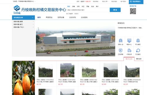 丹橙果业 先行智能引领，携手跳橙科技迈步科技时代